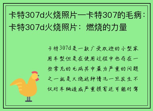 卡特307d火烧照片—卡特307的毛病：卡特307d火烧照片：燃烧的力量