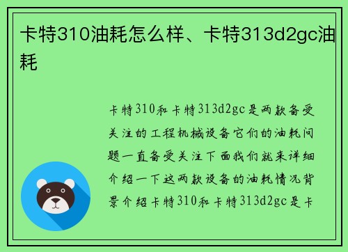 卡特310油耗怎么样、卡特313d2gc油耗